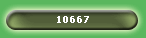 10667